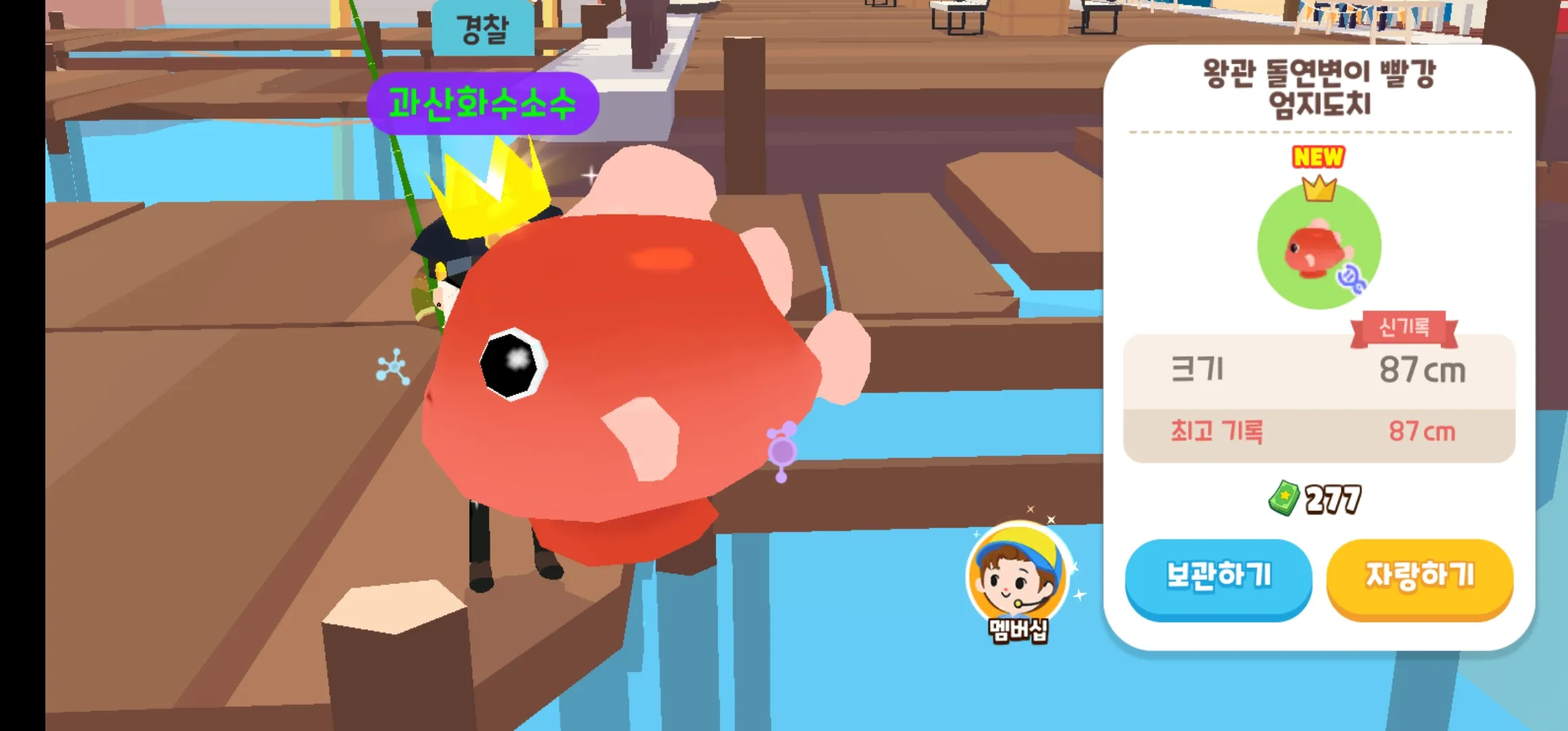 왕관 빨강 돌연변이 앙샤도치 최초 겟!